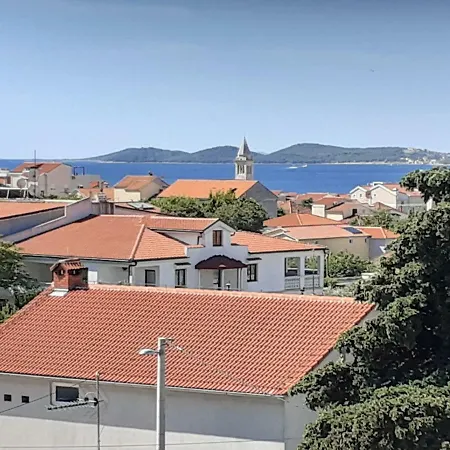 Miocev Daire